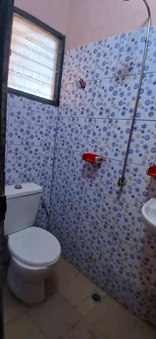 1 Studio américain,  cours devant